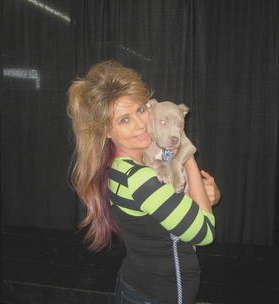 Cover photo of 5 Star Dog Training